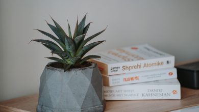 Uzmanlar Uyardı! Her Sinek ısırığı Masum Değil — featured image